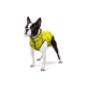 Курточка для собак Waudog Clothes Сміливість XS30 43-46х24-27 см (5730-0231 Col) - зображення 3