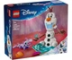 Конструктор LEGO Disney Пикник Олафа и Бруни (43287) - изображение 1