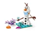 Конструктор LEGO Disney Пикник Олафа и Бруни (43287) - изображение 2