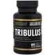 Тестостероновий комплекс California Gold Nutrition Tribulus, Standardized Extract 1000 mg 60 Tabs - зображення 1