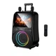 Портативна колонка Bluetooth HOCO DS71 RGB outdoor karaoke 60W Black - зображення 1