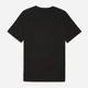 Футболка хлопковая длинная мужская Puma Essentials Graphics 68470861 3XL Black-Apple Spritz (4069161728969) - изображение 5