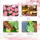Конструктор Cherry Blossoms 609 "Вишневое дерево Бонсай" на 2138 деталей - изображение 4