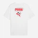 Футболка хлопковая длинная мужская Puma Essentials Graphics 69202302 M White с принтом (4069161676437) - изображение 5