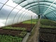 Сетка затеняющая Agreen 60% 4м на метраж с усиленным краем - изображение 5