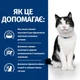 Сухой корм для кошек Hill's Prescription Diet i/d Digestive Care ActivBiome+ 400 г (поддержка функции пищеварения) - изображение 3