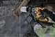 Перфоратор аккумуляторный бесщеточный SDS PLUS DeWALT DCH172NT - изображение 6