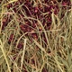 Низкокалорийный корм Vitapol СЕНО Vita Herbal 4404 с лепестками роз для грызунов 800 г (5904479044044) - изображение 2