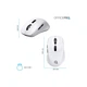 Мышка OfficePro M398W Wireless/Bluetooth White (M398W) - изображение 2
