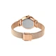 Женские часы Skagen Anita - изображение 6