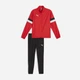 Спортивный костюм мужской Puma Teamrise Trg 65903601 2XL Red (4099685470136) - изображение 10