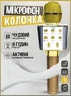 Микрофон караоке динамический Bluetooth WSTER WS-1688 Gold/Золотой с FM радио и записью на флешку - изображение 1