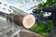 Пила Bosch цепная Professional GKE 18V-40 (0.600.8D3.000) без АКБ и ЗУ - изображение 5