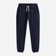 Спортивные штаны мужские Tommy Hilfiger MW37231-DW5 XL Navy (197735263722) - изображение 5