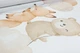 Флизелиновые обои винил горячего тиснения Rasch Kids World 2 302110 Белый (0,53х10,05м) - изображение 1