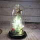 Новорічна ялинка в колбі із зіркою Christmas Decor 23.5см з LED підсвічуванням на батарейках Зелена (025y) - зображення 6