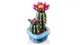 Конструктор Lego Botanicals Цветущий кактус 11509 - изображение 4