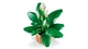 Конструктор Lego Botanicals Спатифиллум 11504 - изображение 6