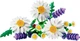 Конструктор Lego Botanicals Ромашки 11508 - изображение 3
