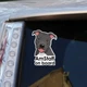 Стикер на авто со Амстаффом AmStaff on board, наклейка собака в машине - изображение 2