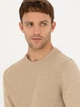 Джемпер мужской Pierre Cardin G021SZ0TK-000-1793233(Bej) L Бежевый (8683856770932) - изображение 4