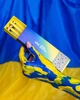 Zola Набор кистей для окрашивания бровей Brow Brushes Ukranian Edition - изображение 4