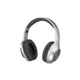 Навушники Panasonic RB-HX220BEE-S Gray (RB-HX220BEE-S) (16543) - зображення 1