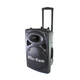 Портативна колонка Su-Kam BT 120D 150 Вт з 2 бездротовими мікрофонами Bluetooth акустична система караоке колонка потужна переносна акустика FM радіо акумулятор 12V 12Ah музична колонка для свят вечірок виступів відпочинку на природі до 15 годин роботи - зображення 1