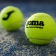 Набір м'ячів JOMA TOURNAMENT 400999.900 зелений, o/s - зображення 5