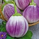 Баклажан Ротонда (без гіркоти) 0,3 г - зображення 4