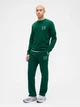 Спортивный костюм мужской утепленный GAP 748450614 L Зеленый (1159851468) - изображение 1