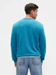 Свитшот на флисе мужской GAP 685748840 2XL Бирюзовый (1159850734) - изображение 2