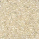 Бисер Miyuki Delica Beads 11/0, 5г, DB-109, блестящий радужный, бежевый - изображение 1