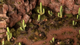 Zestaw dekoracji Gamers Grass Basing Bits Saguaro Cacti (738956791443) - obraz 2