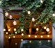Світлодіодна гірлянда Brightech Ambience Pro, 8 м, 12 LED ламп, тепле світло 2700K, водонепроникна - зображення 1