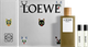 Zestaw dla mężczyzn Loewe Esencia Woda toaletowa 100 ml + Miniatura wody toaletowej 10 ml + Miniatura wody toaletowej 10 ml (8426017085021) - obraz 1