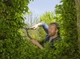 Ножиці для живоплоту Gardena NatureCut (12300-20.000.00) - изображение 8