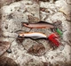 Блешня CONDOR FISHING Chimera Winger 21гр 70мм #GRLM (26321_21_GRLM) - зображення 3