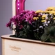 Розумний набір для вирощування рослин «Ecobloom», сад-город - зображення 4