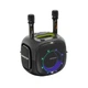 Портативна колонка Bluetooth HOPESTAR Party ONE UT з 2 мікрофонами 240W, 30000mAh Чорна - изображение 1