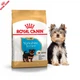Сухой корм Royal Canin Yorkshire Terrier Puppy - для щенков йоркширского терьера от 2 до 10 месяцев, 0.5 кг (39720051) - изображение 7