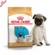 Сухой корм Royal Canin Pug Puppy корм для щенков мопса от 2 до 10 месяцев, 1.5 кг (41300151) - изображение 2