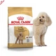 Сухой корм Royal Canin Poodle Adult - сухой корм для пуделей от 10 мес., 7.5 кг (3057015) - изображение 7