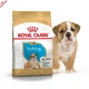 Royal Canin Bulldog Puppy – корм для щенков английского бульдога до 12 месяцев, 12 кг (39671201) - изображение 6