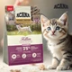 Корм для котят Acana Highest Protein Kitten с курицей, индейкой и лососем 1. 8 кг - изображение 1