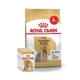 Корм для собак Royal Canin Yorkshire Terrier Adult 1,5 кг + 4 pouch влажного корма - изображение 1
