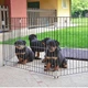 Отряд для собак и щенков Ferplast Dog Training можно использовать как перегородку - изображение 4
