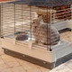 Клетка Ferplast Krolik Large для кроликов - изображение 7
