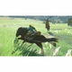 Игра Nintendo Switch The Legend of Zelda: Breath of the Wild (045496420055) - изображение 4