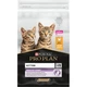 Сухой корм для кошек Purina Pro Plan Original Kitten с курицей 10 кг (7613036505307) - изображение 1